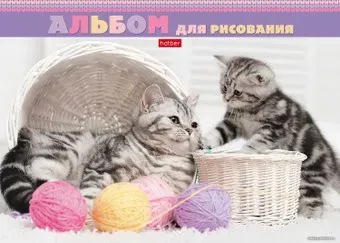 Hatber Котята и клубочки 24А4лВк_20994 (24 л.)