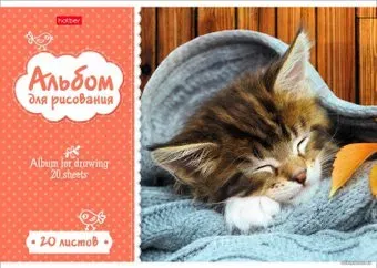 Hatber Котята 20А4В (20 л.)