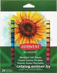 Derwent 98216 (24 цв.)