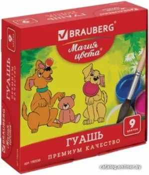 BRAUBERG Магия цвета 190556 (9 цв.)