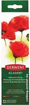 Derwent Academy 2301955 (с кисточкой, 12 цв.)